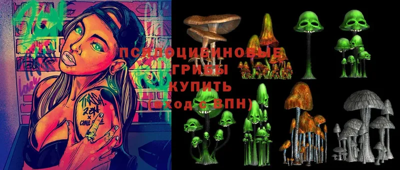 наркошоп  Петропавловск-Камчатский  Псилоцибиновые грибы Psilocybe 